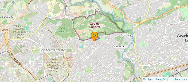 localisation de l'entreprise DIAMS à MONTPELLIER
