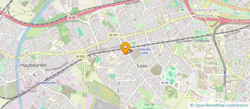 localisation de l'entreprise DIAMYNX  LOOS