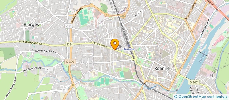 localisation de l'entreprise DIANA  ROANNE
