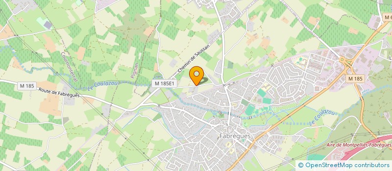 localisation de l'entreprise DIANE DE FABREGUES  FABREGUES