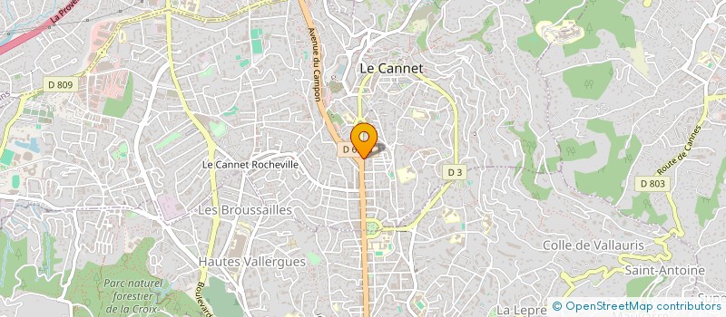 localisation de l'entreprise DIANE HAIR BEAUTY à LE CANNET