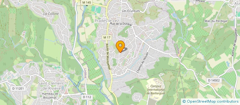 localisation de l'entreprise DIANESIS CONSEIL  PRADES-LE-LEZ