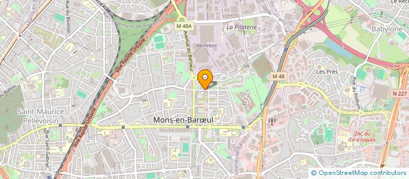 localisation de l'entreprise DIASPORA YEZIDIS HAUTS DE FRANCE  MONS-EN-BARUL