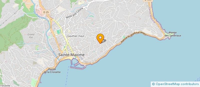 localisation de l'entreprise DIBIDON à SAINTE-MAXIME