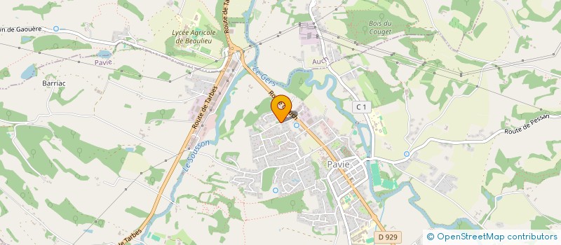 localisation de l'entreprise DICE'N'ROLE  PAVIE