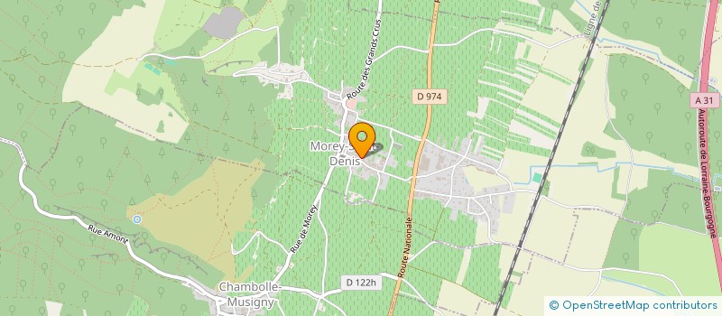 localisation de l'entreprise DIDIER AMIOT à MOREY-SAINT-DENIS
