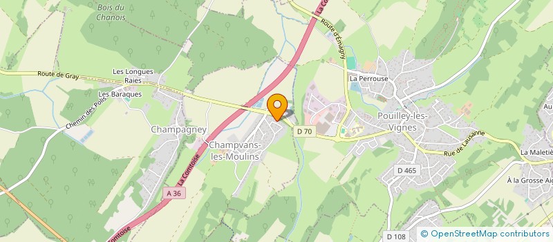 localisation de l'entreprise DIDIER FELICE  CHAMPVANS-LES-MOULINS