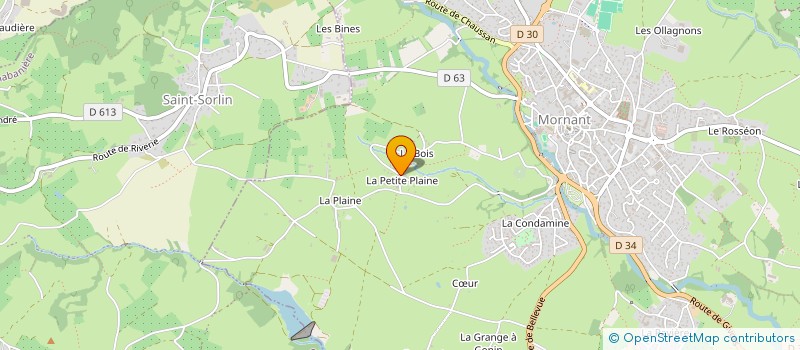 localisation de l'entreprise DIDIER SEON MACONNERIE  MORNANT