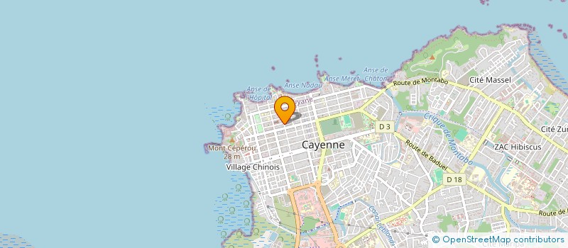 localisation de l'entreprise DIDINE  CAYENNE