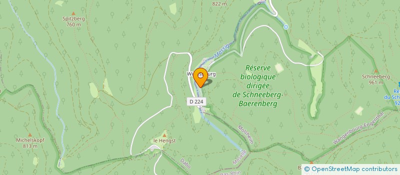localisation de l'entreprise DIEDA SOLUTIONS TRANSPORTS à WANGENBOURG-ENGENTHAL
