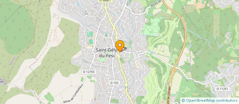 localisation de l'entreprise DIFFERENT COMME TOUT LE MONDE  SAINT-GELY-DU-FESC