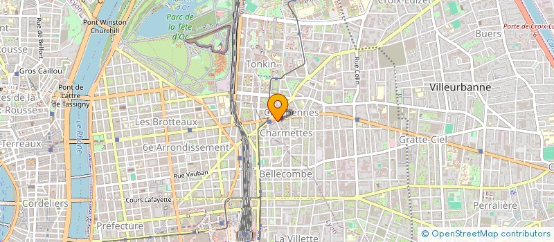 localisation de l'entreprise DIFFUSION DE CHAUSSURES ET DE VETEMENTS  VILLEURBANNE