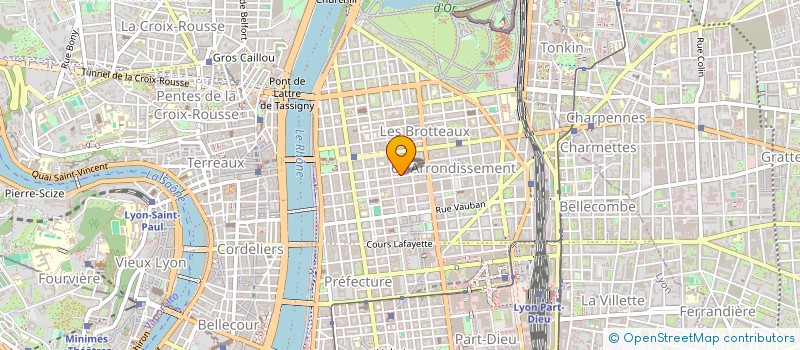 localisation de l'entreprise DIFFUSION INTERNATIONALE ARTICLES  LYON