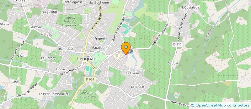 localisation de l'entreprise DIFFUSION SERVICE PLUS à LEOGNAN