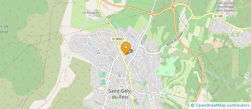 localisation de l'entreprise DIFFUSION VIDEO LIVRES CHRETIENS à SAINT-GELY-DU-FESC