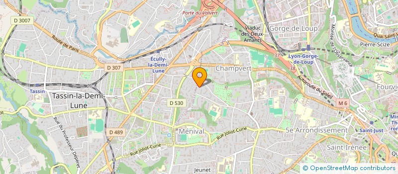 localisation de l'entreprise DIGESTEAM  LYON