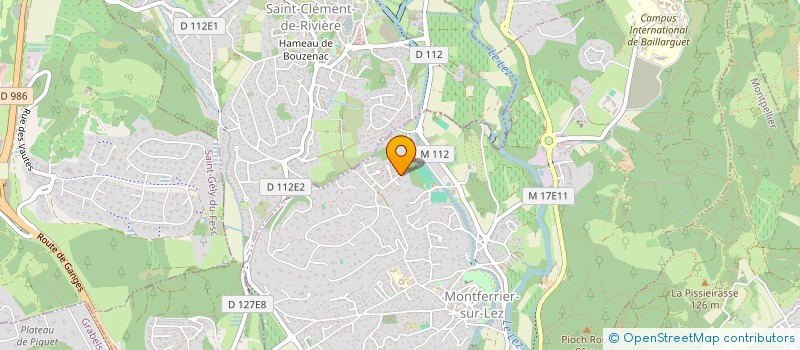 localisation de l'entreprise DIGISPEAK  MONTFERRIER-SUR-LEZ