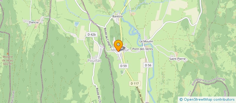 localisation de l'entreprise DIGITAL AGENCY  MONNETAY