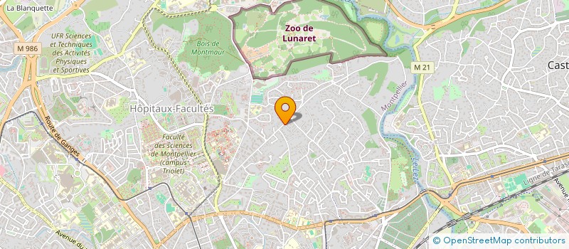 localisation de l'entreprise DIGITAL ART SYSTEM à MONTPELLIER
