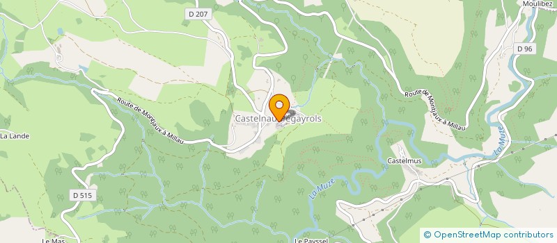 localisation de l'entreprise DIJEAN  CASTELNAU-PEGAYROLS