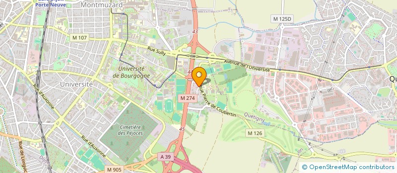 localisation de l'entreprise DIJON STORES à DIJON