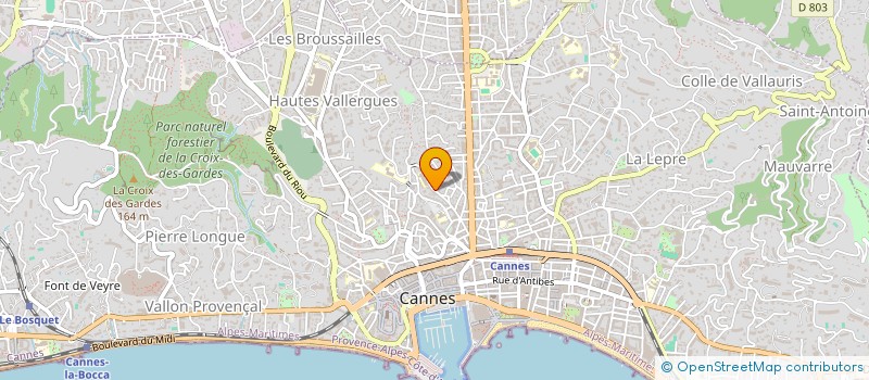 localisation de l'entreprise DILIGENT INTERNATIONAL TRADES à CANNES
