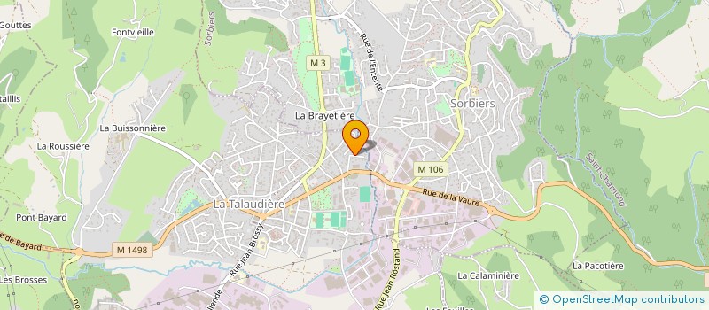 localisation de l'entreprise DIMITRI BOURGIER  LA TALAUDIERE