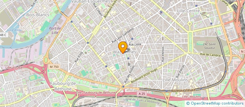 localisation de l'entreprise DINERS'S SNACK à LILLE