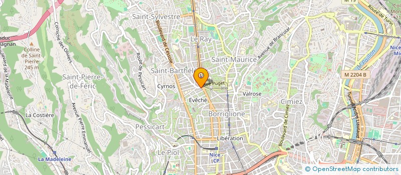 localisation de l'entreprise DIONA à NICE