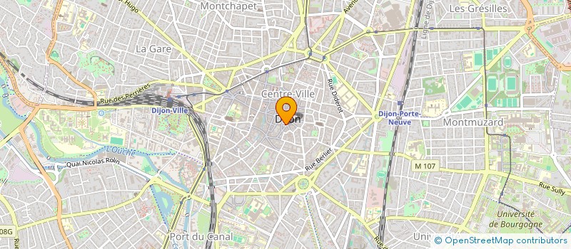 localisation de l'entreprise DIOSA  DIJON