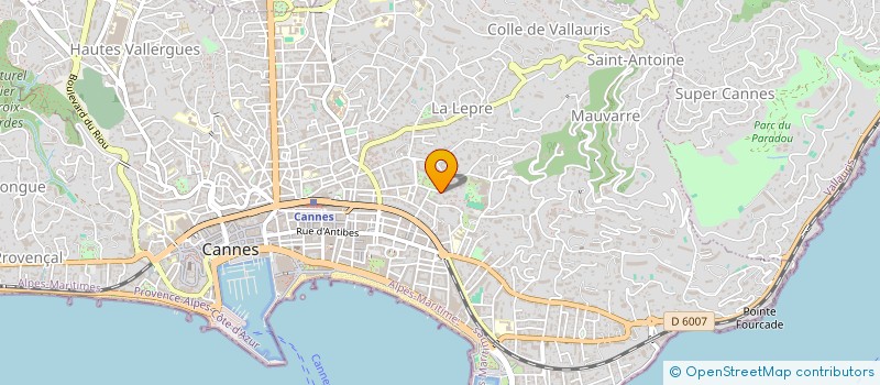 localisation de l'entreprise DIOUANE PATRIMOINE  CANNES