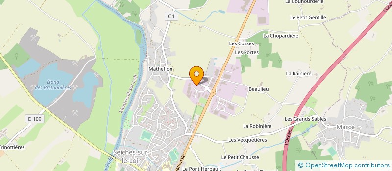 localisation de l'entreprise DIRECT AFFAIR'IS  SEICHES-SUR-LE-LOIR