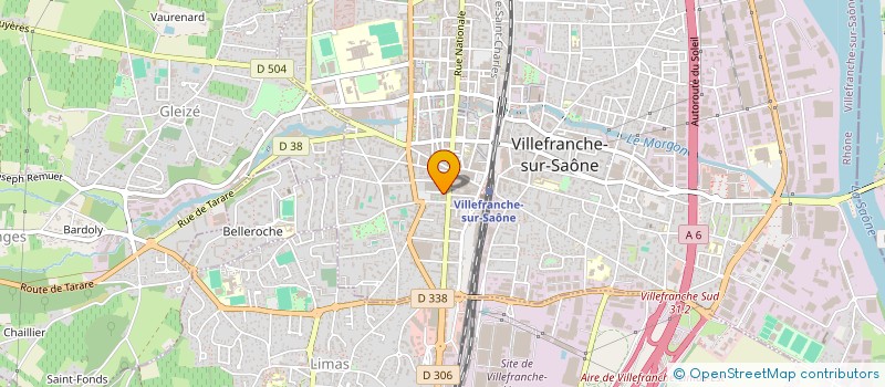 localisation de l'entreprise DIRECT-SERVICES à VILLEFRANCHE-SUR-SAONE