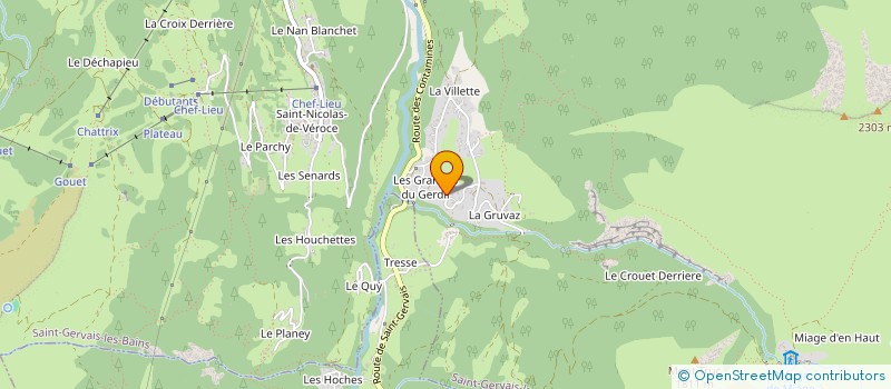 localisation de l'entreprise DIRECTION AUX AFFAIRES SAVOISIENNES à SAINT-GERVAIS-LES-BAINS