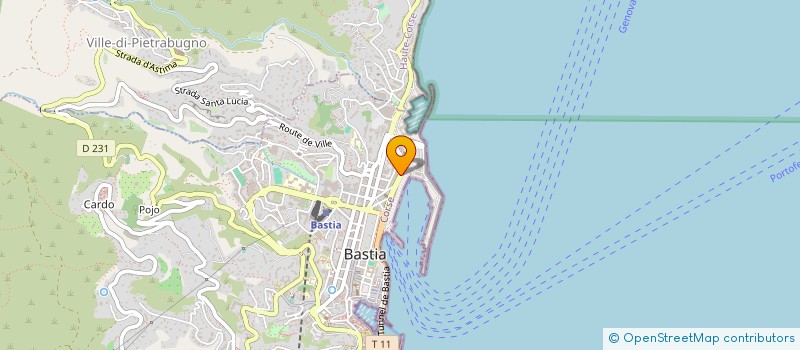 localisation de l'entreprise DIRECTION DES SERVICES DEPARTEMENTAUX DE L EDUCATION NATIONALE DE LA HAUTE CORSE à BASTIA