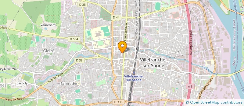 localisation de l'entreprise DIS MOI TOUT GOURMET EVENTS à VILLEFRANCHE-SUR-SAONE