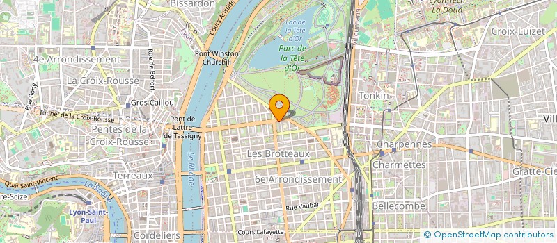 localisation de l'entreprise DISAUSIMMO  LYON