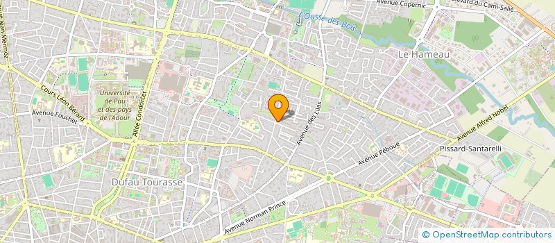 localisation de l'entreprise DISTRIBUTION ALIMENTAIRE ARTHEZIENNE à PAU