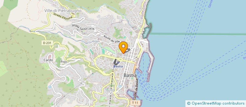 localisation de l'entreprise DISTRIBUTION CORSE AUTOMATIQUE à BASTIA