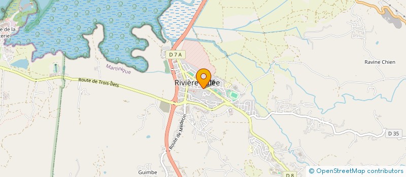 localisation de l'entreprise DISTRIBUTION DE PRODUITS ALIMENTAIRES  RIVIERE-SALEE
