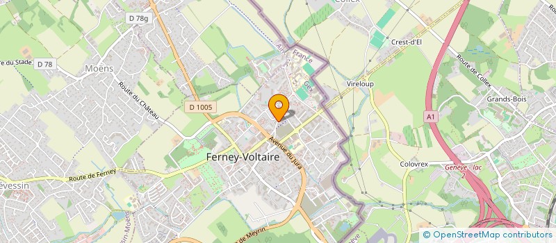 localisation de l'entreprise DISTRIBUTION - NETTOYAGE - MULTISERVICES à FERNEY-VOLTAIRE