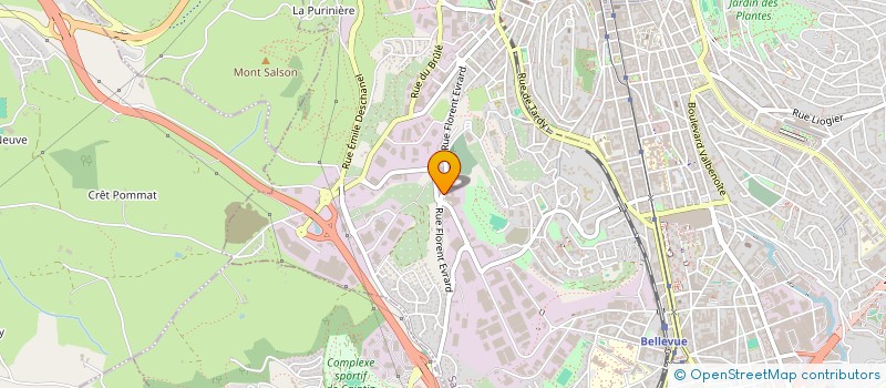 localisation de l'entreprise DITIB SAINT-ETIENNE  SAINT-ETIENNE