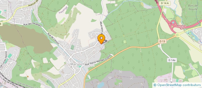 localisation de l'entreprise DITMAN  HAYANGE