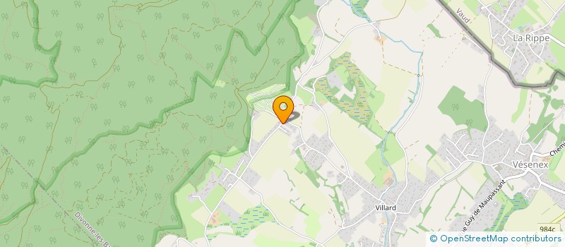 localisation de l'entreprise DIV EVENTS à DIVONNE-LES-BAINS