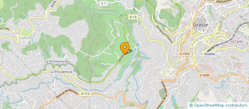 localisation de l'entreprise DIVINS  GRASSE