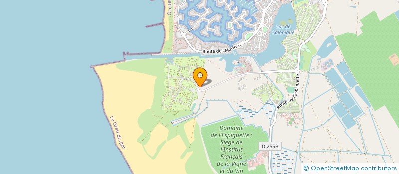 localisation de l'entreprise DJF  LE GRAU DU ROI