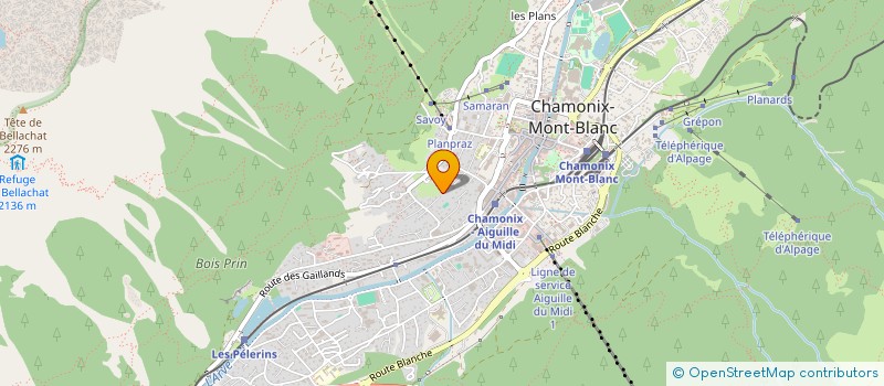 localisation de l'entreprise DJMF à CHAMONIX-MONT-BLANC