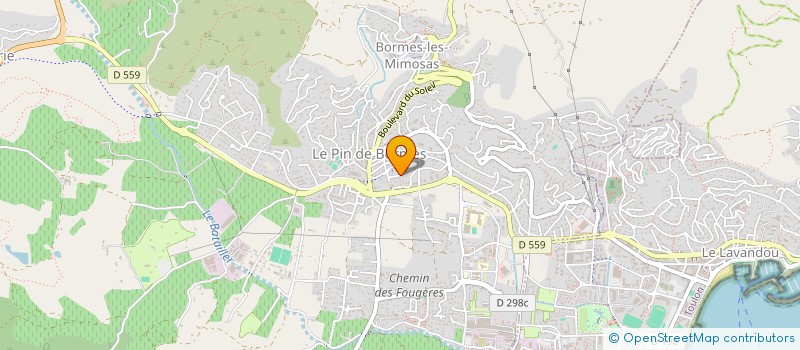 localisation de l'entreprise DJP à BORMES-LES-MIMOSAS
