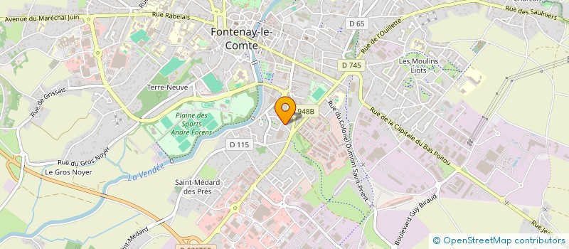 localisation de l'entreprise DJY'Z  FONTENAY-LE-COMTE