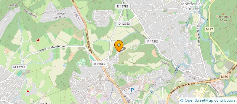 localisation de l'entreprise DKM IMMO  SAINT-CLEMENT-DE-RIVIERE